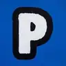 B20PUNK logo